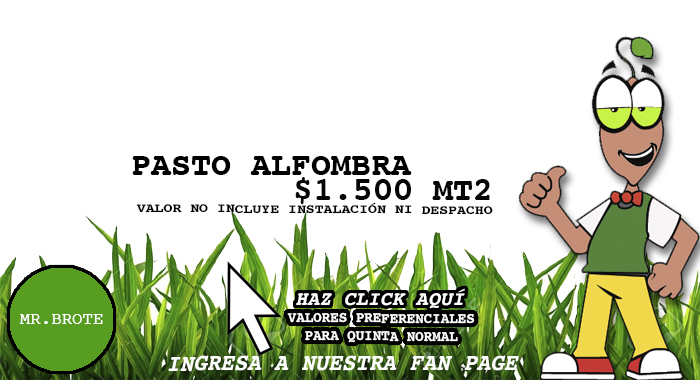 MRBROTEAVISO3
